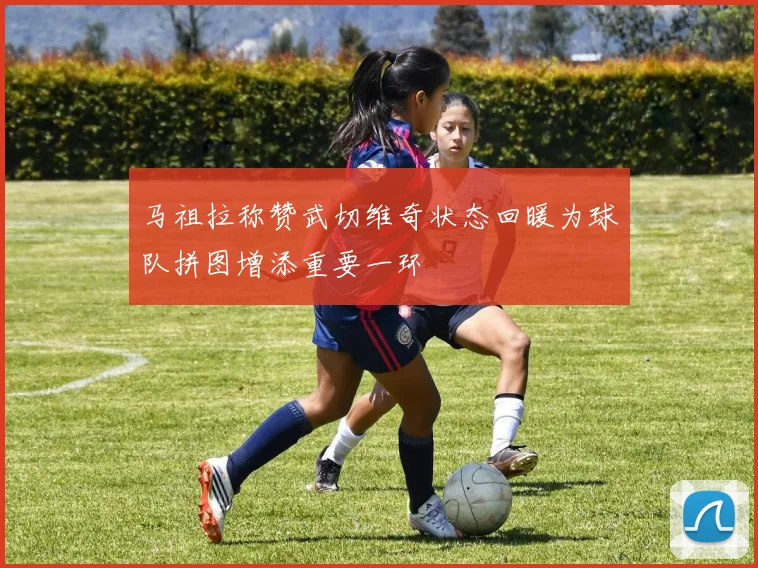 马祖拉称赞武切维奇状态回暖为球队拼图增添重要一环