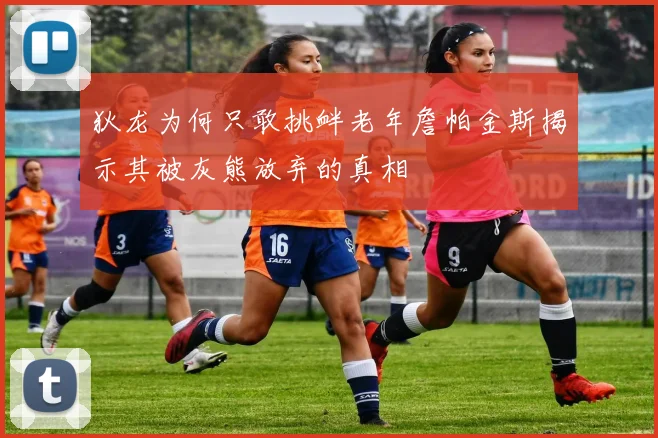 狄龙为何只敢挑衅老年詹帕金斯揭示其被灰熊放弃的真相