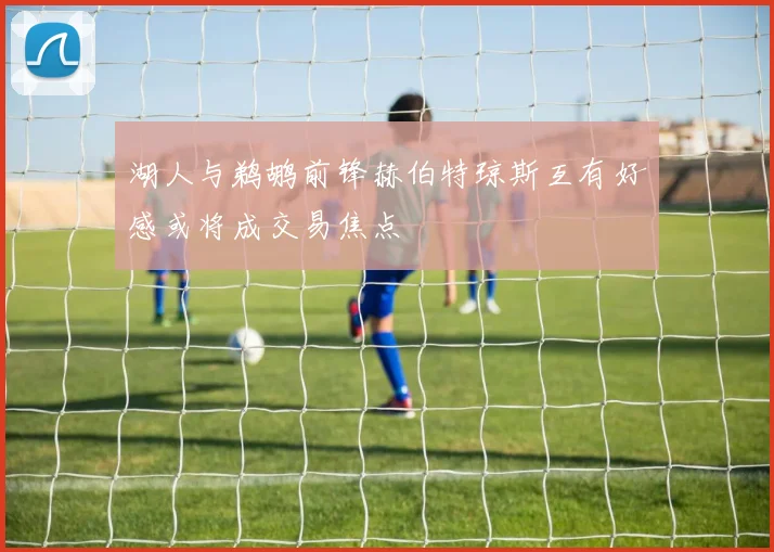湖人与鹈鹕前锋赫伯特琼斯互有好感或将成交易焦点